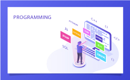 Programming Languages